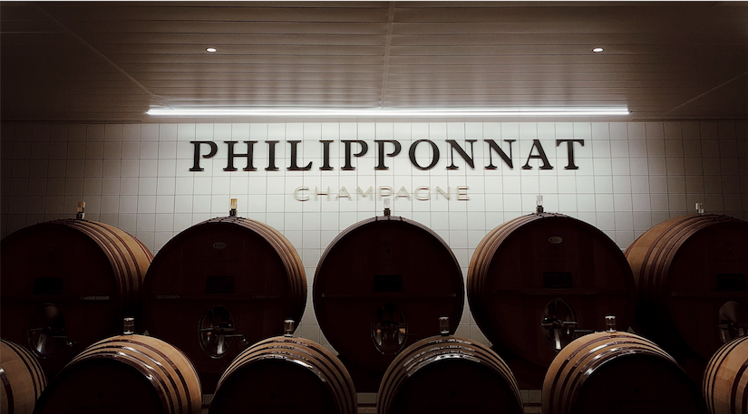 Des blogueuses dans les vignes