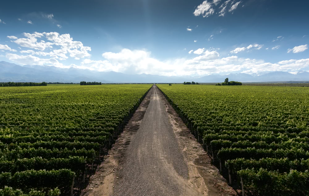 Un petit tour en Argentine ?