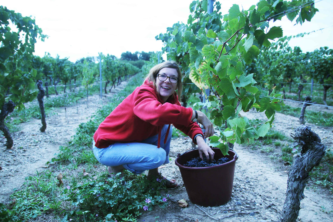 La grande famille part en vadrouille