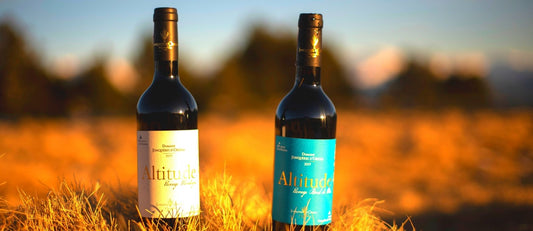 Altitude vs Littoral : le projet fou de l’été !