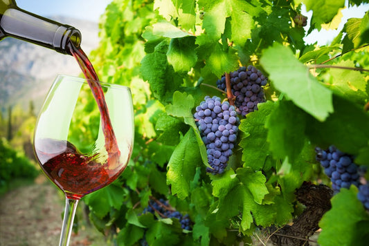 Comment fabrique-t-on un vin rouge ?