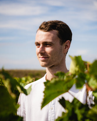 Sequentis - Blanc - Vin de France - Blanc - 2024