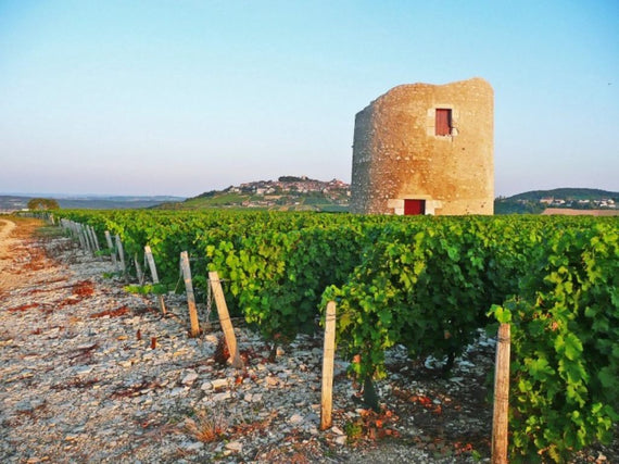 Anthony et David Girard