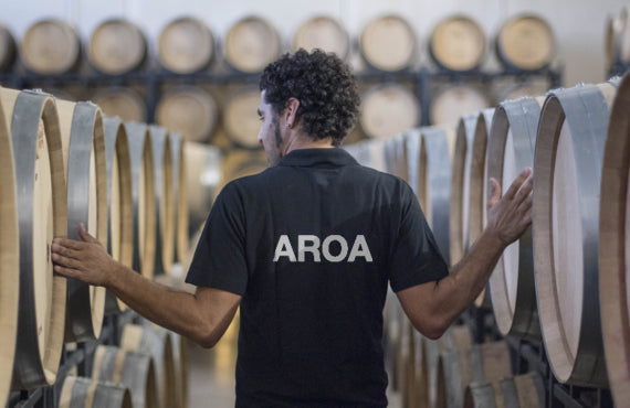 Aroa Bodegas