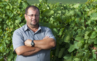 Bodegas y Viñedos Casa de la Ermita