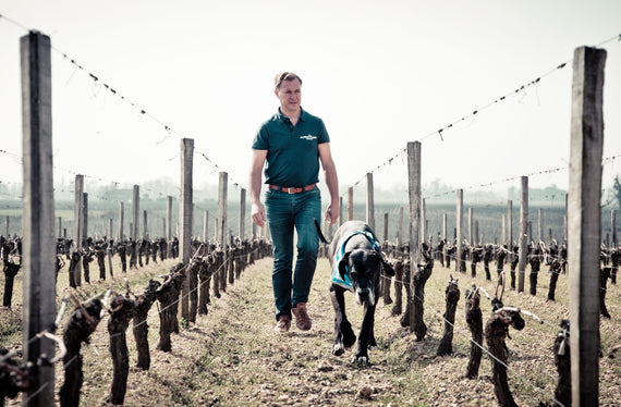 Château Cap Saint George