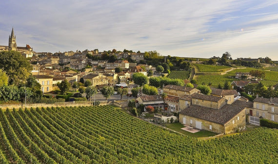 Château Côte de la Mouleyre