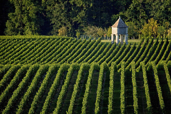 Château Garderose
