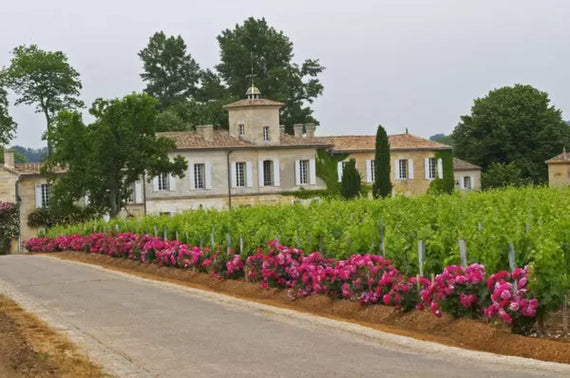 Château Gazin