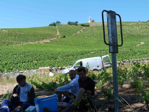 Château Grand'Grange