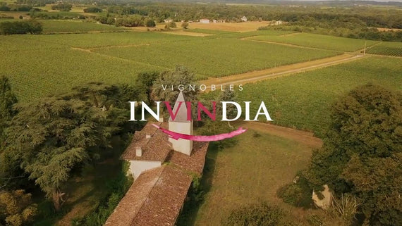 Château Haut-Meyreau