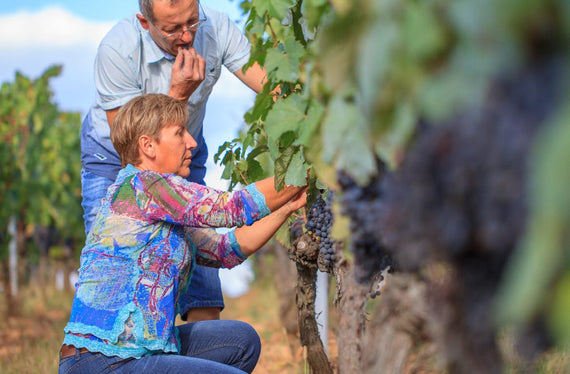 Château Haut-Monplaisir