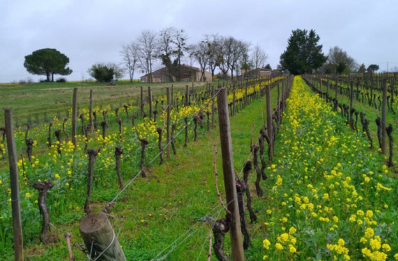 Château La Bienveillance