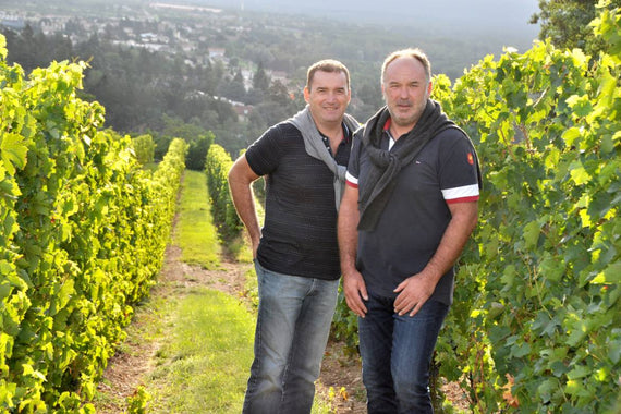 Clos de Chozieux