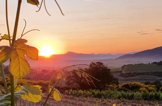 Côteaux des Travers