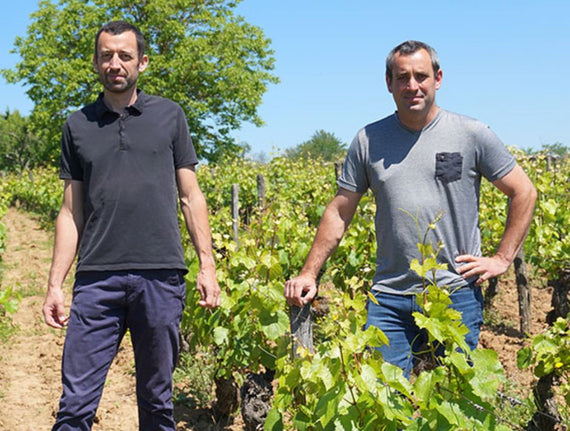 Domaine Bonnardot