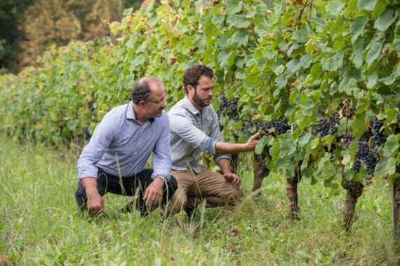 Domaine Capmartin