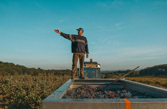 Domaine de Cristia
