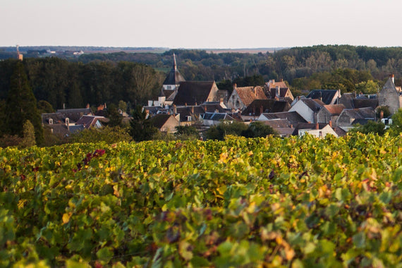 Domaine de la Pagerie