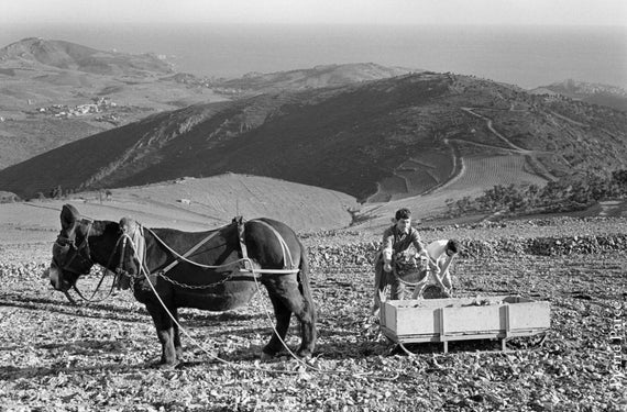 Domaine de la Rectorie