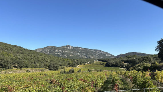 Domaine de La Réserve d'O