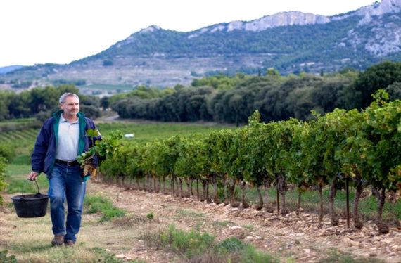 Domaine des Bernardins