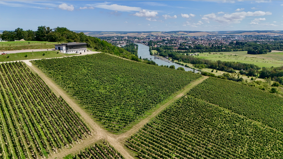 Domaine Des Sénons
