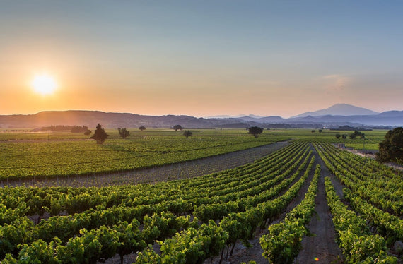 Domaine Dupeyre