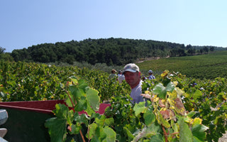 Domaine Eyguestre