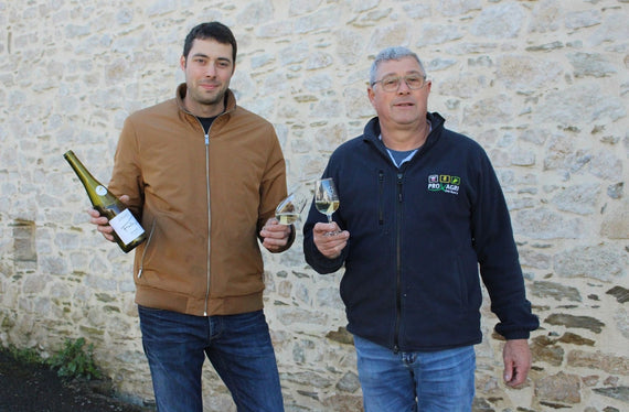 Domaine Girard