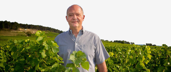 Domaine Henri Delagrange & Fils
