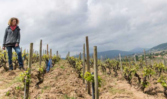 Domaine Lapierre