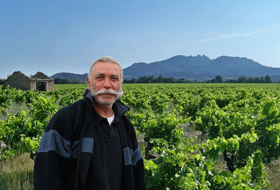 Domaine Le Sang des Cailloux