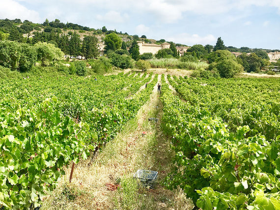 Domaine Plan de l'Homme