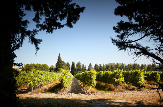 Domaine Py