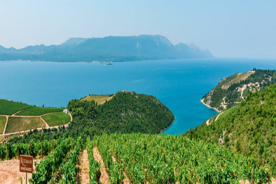 Domaine Rizman