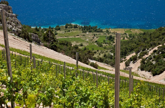 DOMAINE STINA VINO