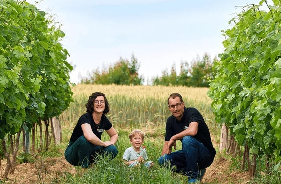 Domaine Vendome