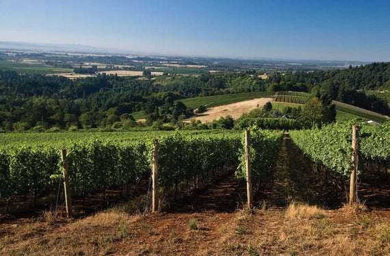 Erath Winery