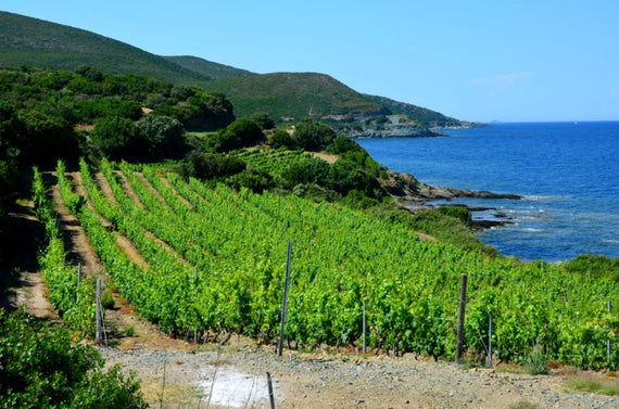 Ile de Rosé