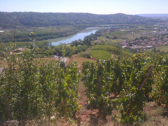 Les Terriens