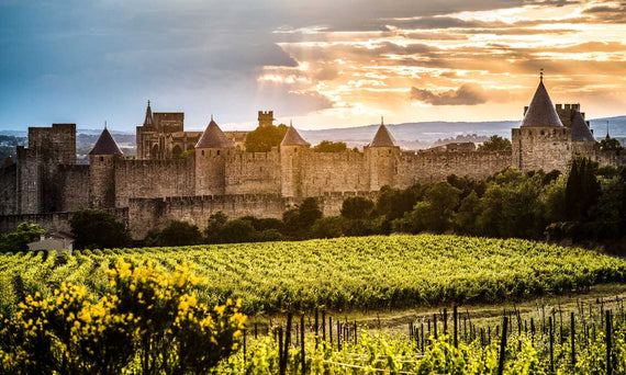 Pierre Tailleur de Vin