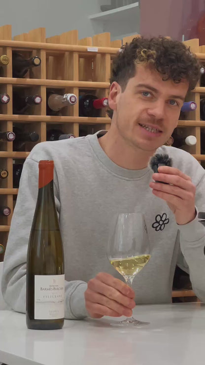 Domaine Barmès-Buecher - Filigrane - AOP Alsace - Blanc - 2024