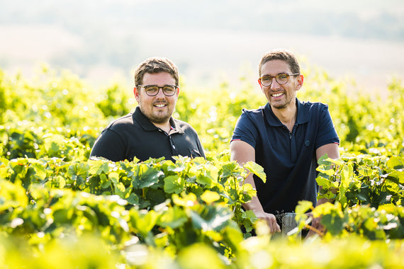 Vignobles Berthier